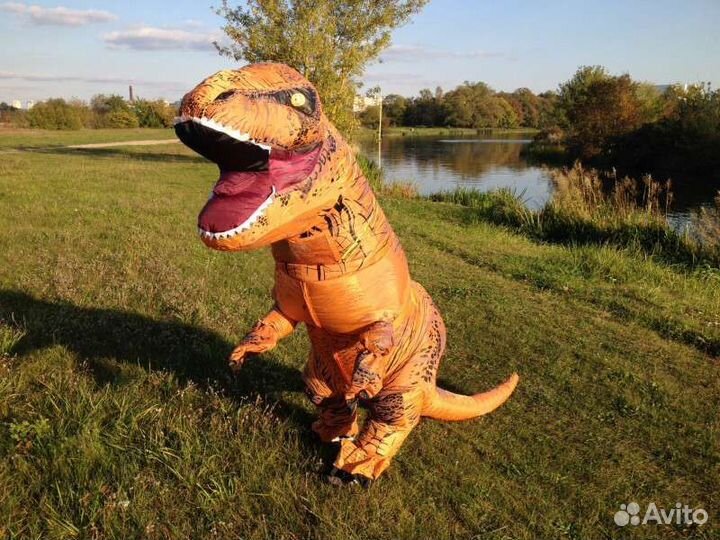 Надувной костюм динозавра / лягушки аренда