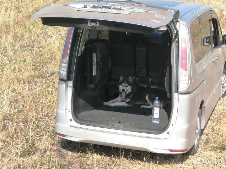 Nissan Serena 2.0 CVT, 2011, 145 000 км