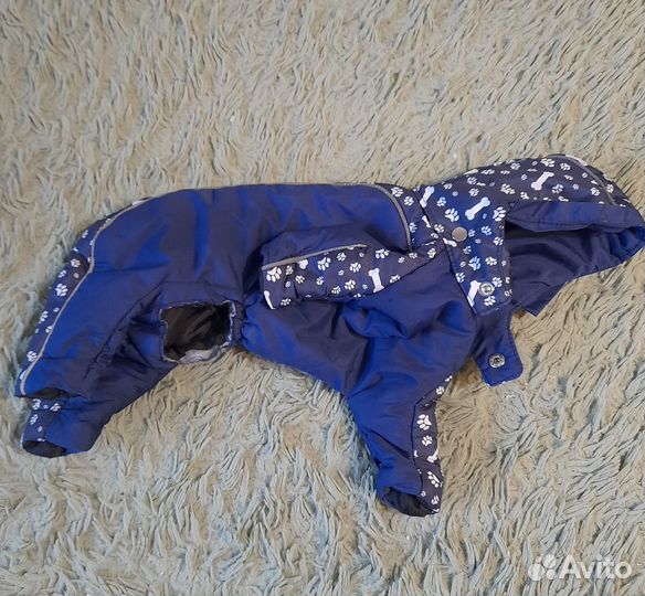 Костюм зимний для маленькой собаки