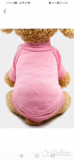 Одежда для кошек и собак