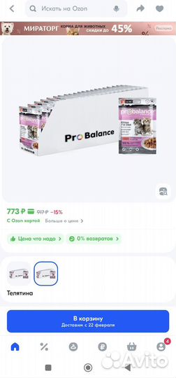 Корм для котят