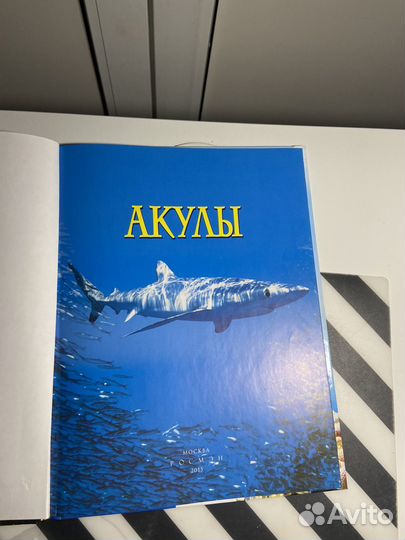 Детская энциклопедия 