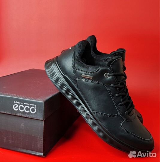 Кроссовки Ecco Biom