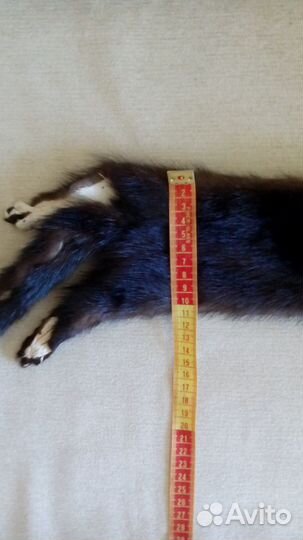 Шкурка норки