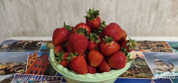 Клубника саженцы Азия, Улыбка, Альба,Мурано,Гирлян