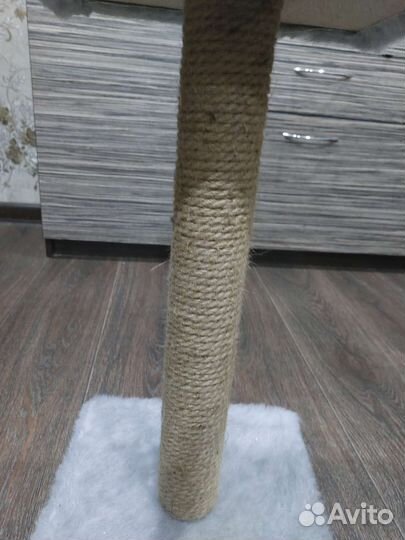 Когтеточка