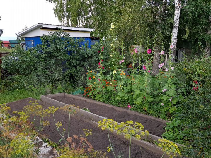 Участок 6,5 сот. (СНТ, ДНП)