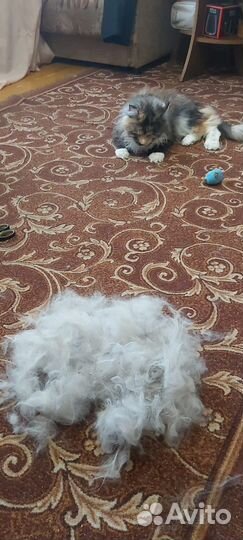 Колтунорез щетка для кошек и собак