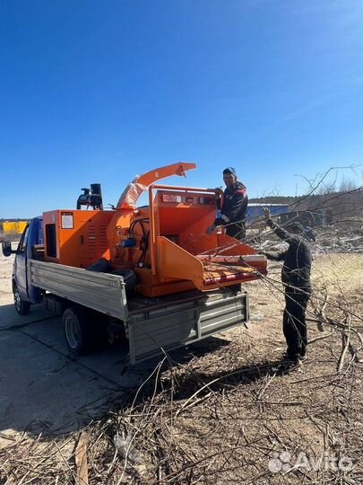 Измельчитель веток / Дробилка / Щепорез DH-100