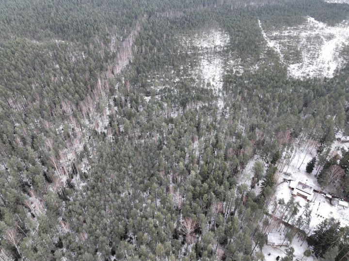 Участок 19 сот. (ИЖС)