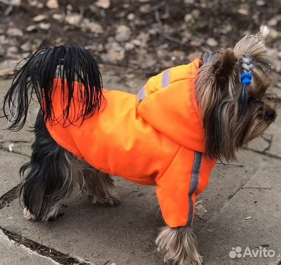 Курточка утепленная для собак