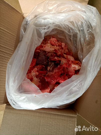 Обрезь говяжья для собак