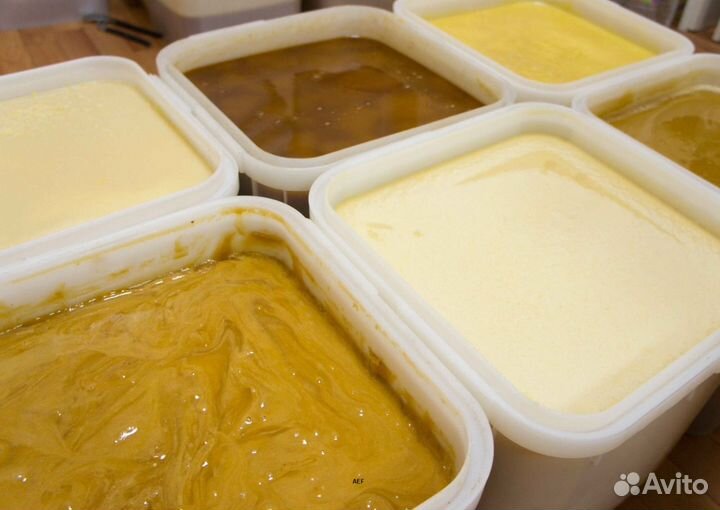 2024 Мёд натуральный алтайский опт