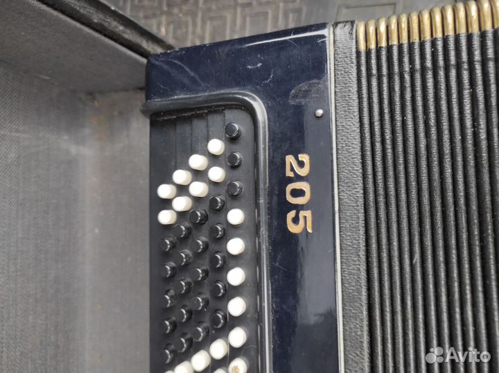 Аккордеон Юность половинка 1/2 и баян Этюд