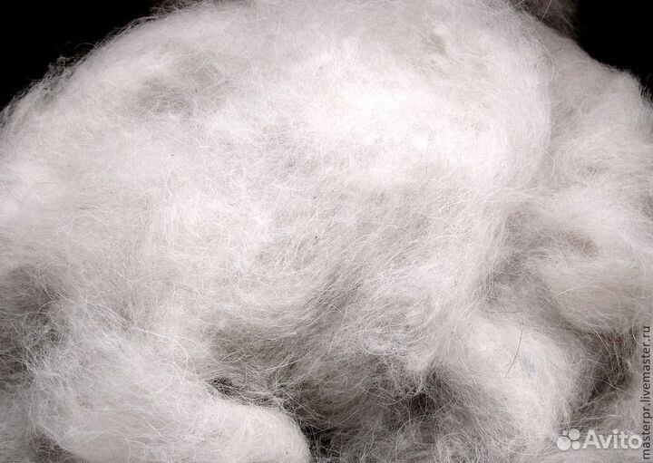 Собачий пух