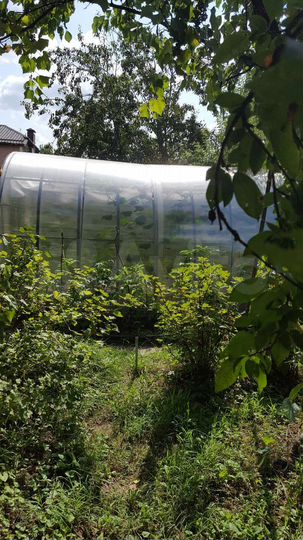 Дача 37 м² на участке 6 сот.