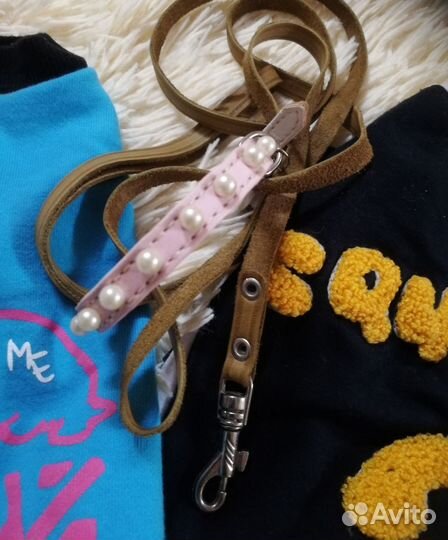 Одежда для собак таксы щенка, взрослой