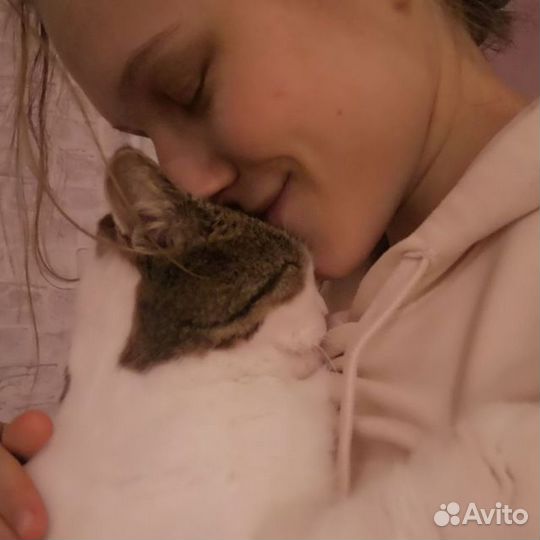 Няня для животных, выгул собак, передержка