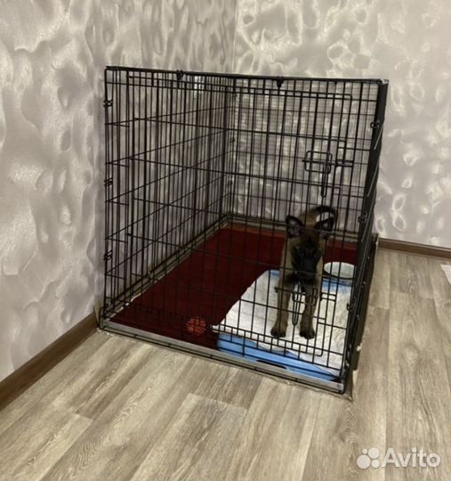 Клетка для собак №3