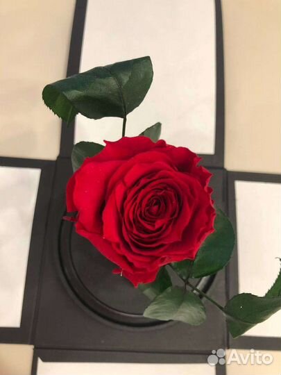 Вечная роза в колбе(в стекле)