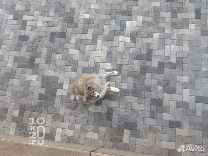 Тротуарная плитка