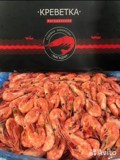 Креветка северная, магаданская