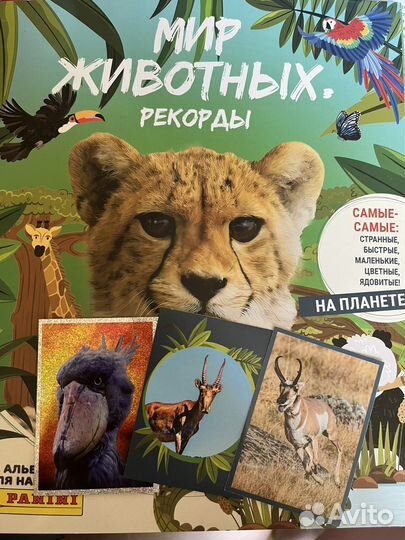 Наклейки Panini Мир животных рекорды