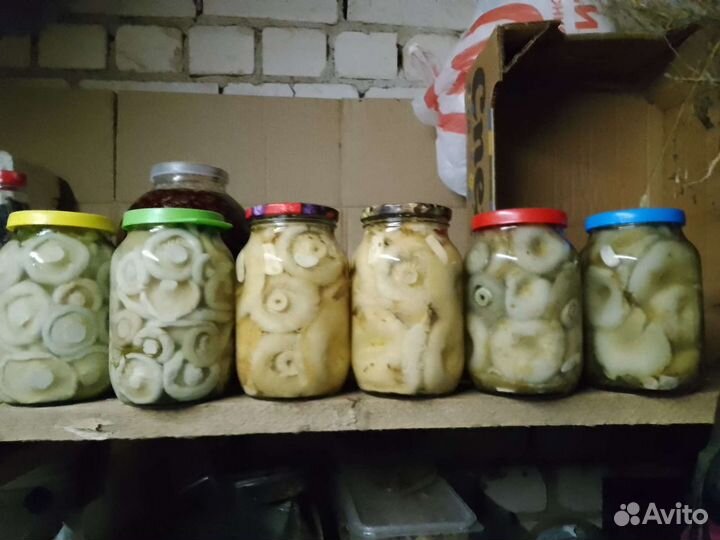 Белые грузди