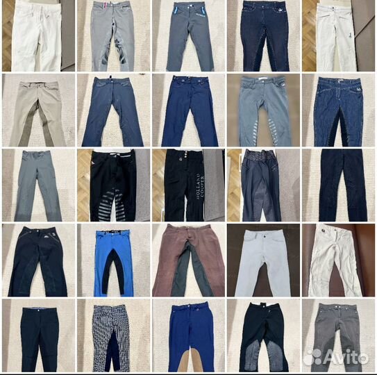 Много бридж для верховой езды и конного спорта