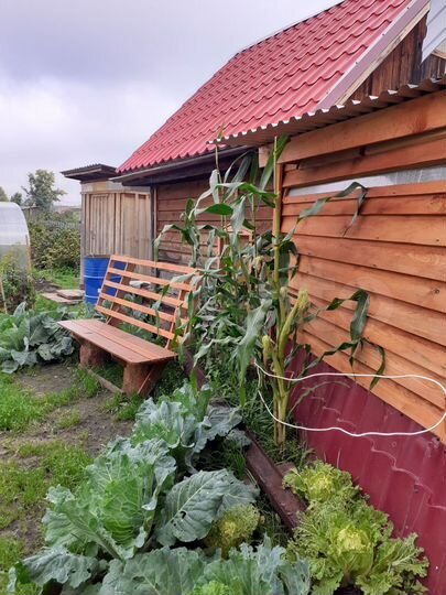 Участок 9,7 сот. (СНТ, ДНП)