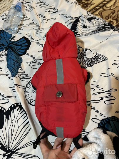 Продам комбинезон для маленькой собачки