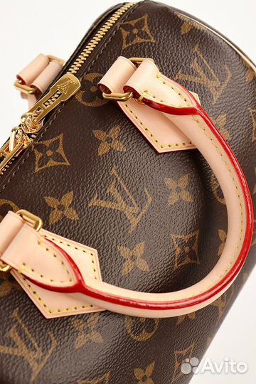 Сумка Louis Vuitton Speedy 20