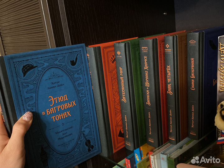 Куча книг (ромфант, фентези)