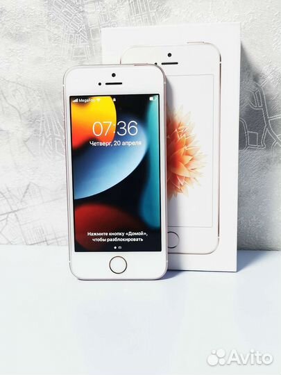 iPhone SE