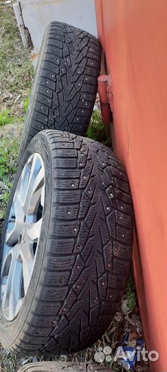 Maxxis Premitra Ice Nord NS5 205/50 R17