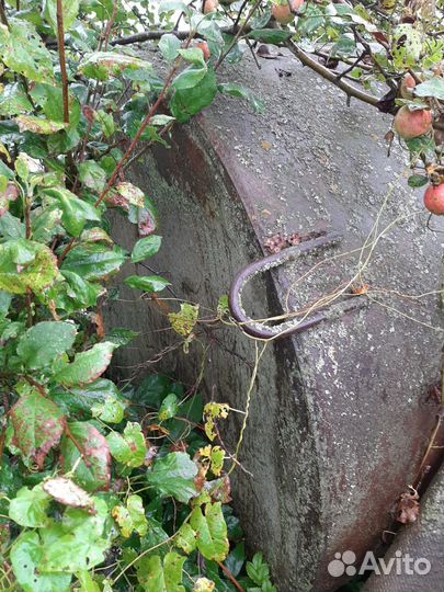 Бочка/цистерна/резервуар