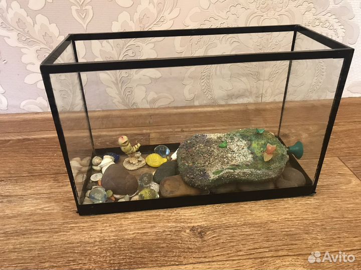 Аквариумные рыбки и для черепахи
