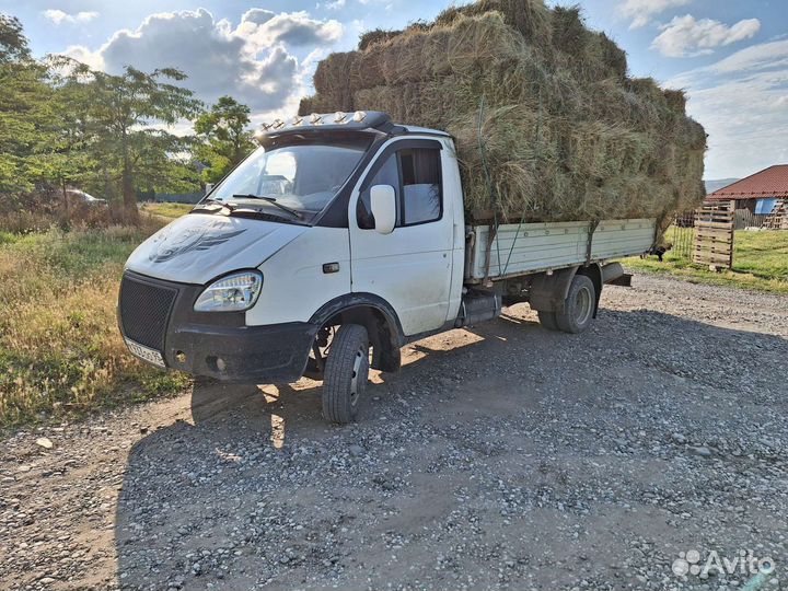 Сено солома люцерна в тюках