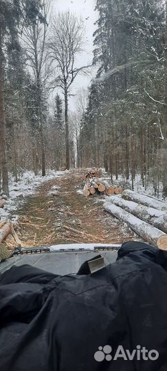Оператор харвестера и форвардера