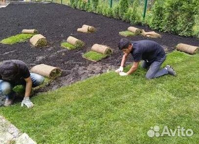 Газон от производителя