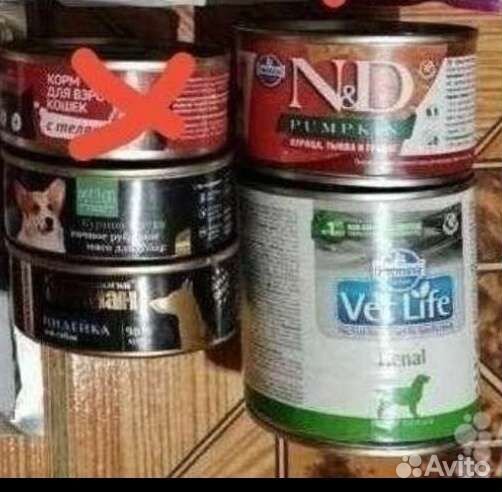 Влажный корм для кошек и собак