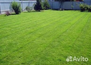 Гидропосев