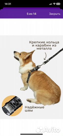 Шлейка с поводком