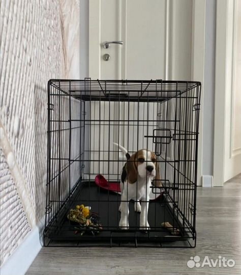 Клетка для собак №4 двухдверная