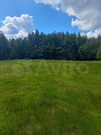 Участок 15 сот. (ИЖС)