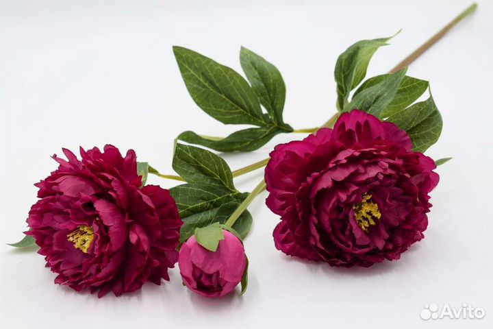 Ветка пион ботаническая копия, премиум класса
