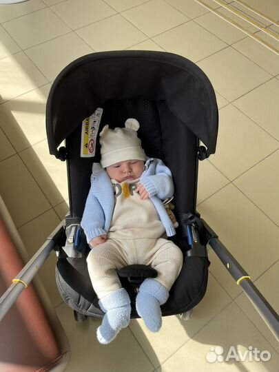 Коляска автокресло doona plus