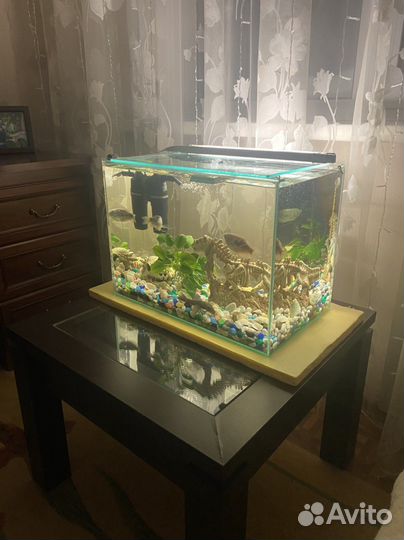 Аквариум