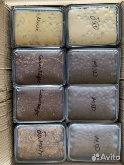 Шоколад молочный в брикетах 1кг