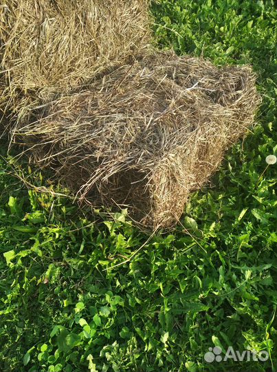 Продам сено в тюках